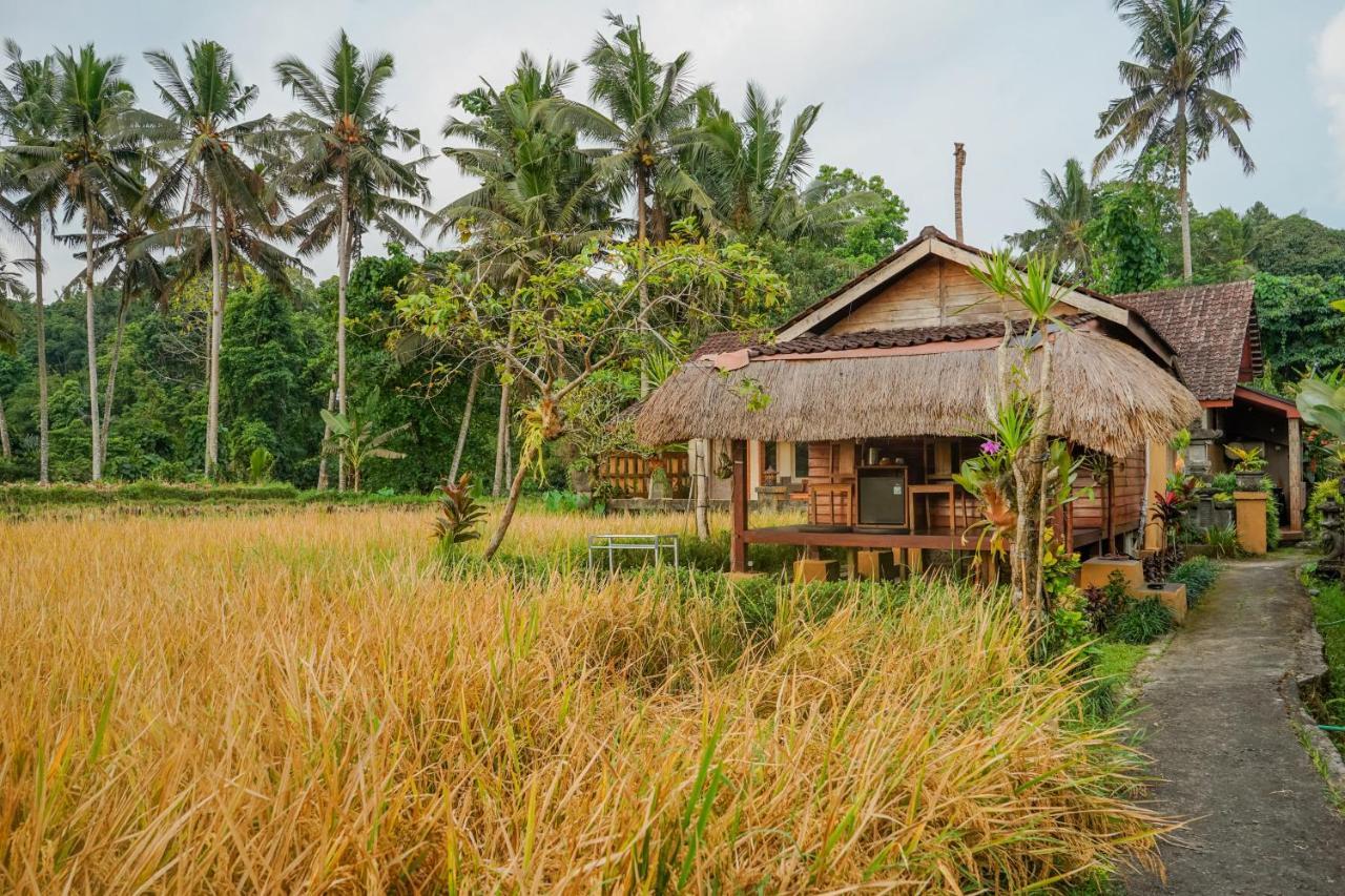 Villa Jj And Spa Ubud Luaran gambar