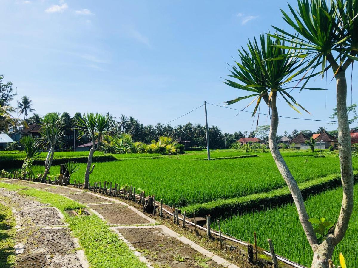 Villa Jj And Spa Ubud Luaran gambar