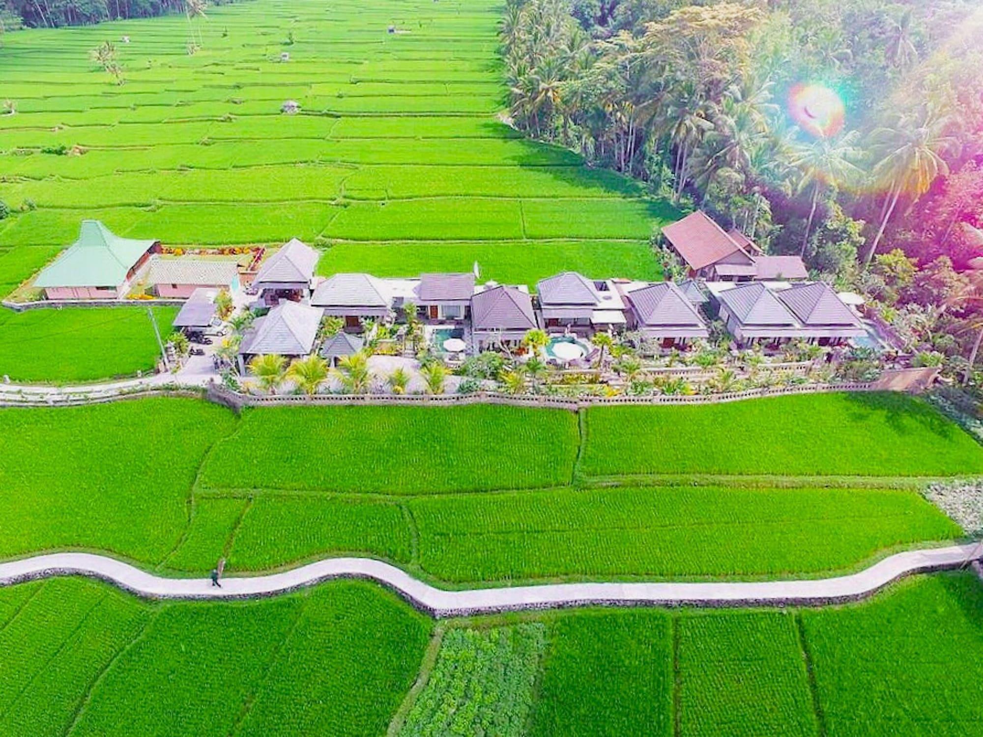 Villa Jj And Spa Ubud Luaran gambar